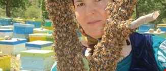 نقلی رحمانی تولید کننده عسل